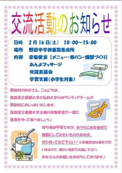 平成25年2月16日野田村チラシ